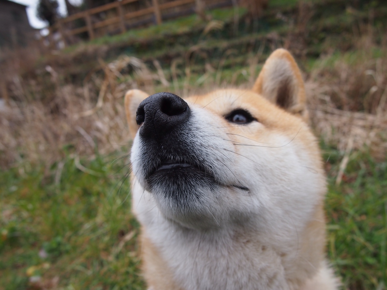 体育新闻中心联合高校推进体育新闻实训基地，体育系新闻