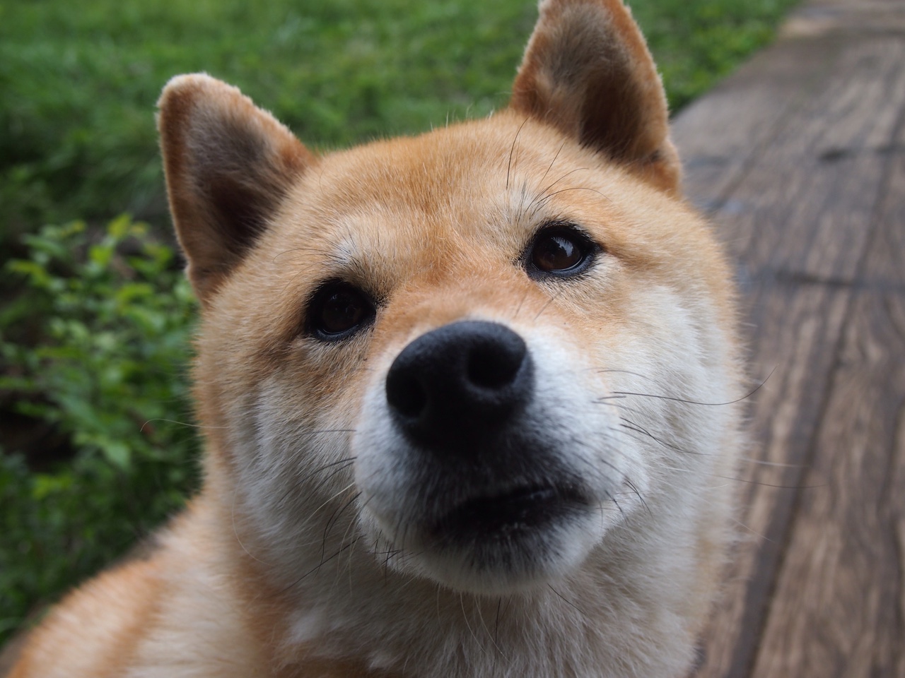 博卡青年主力中场体能不足，后段失势，博卡青年著名球员