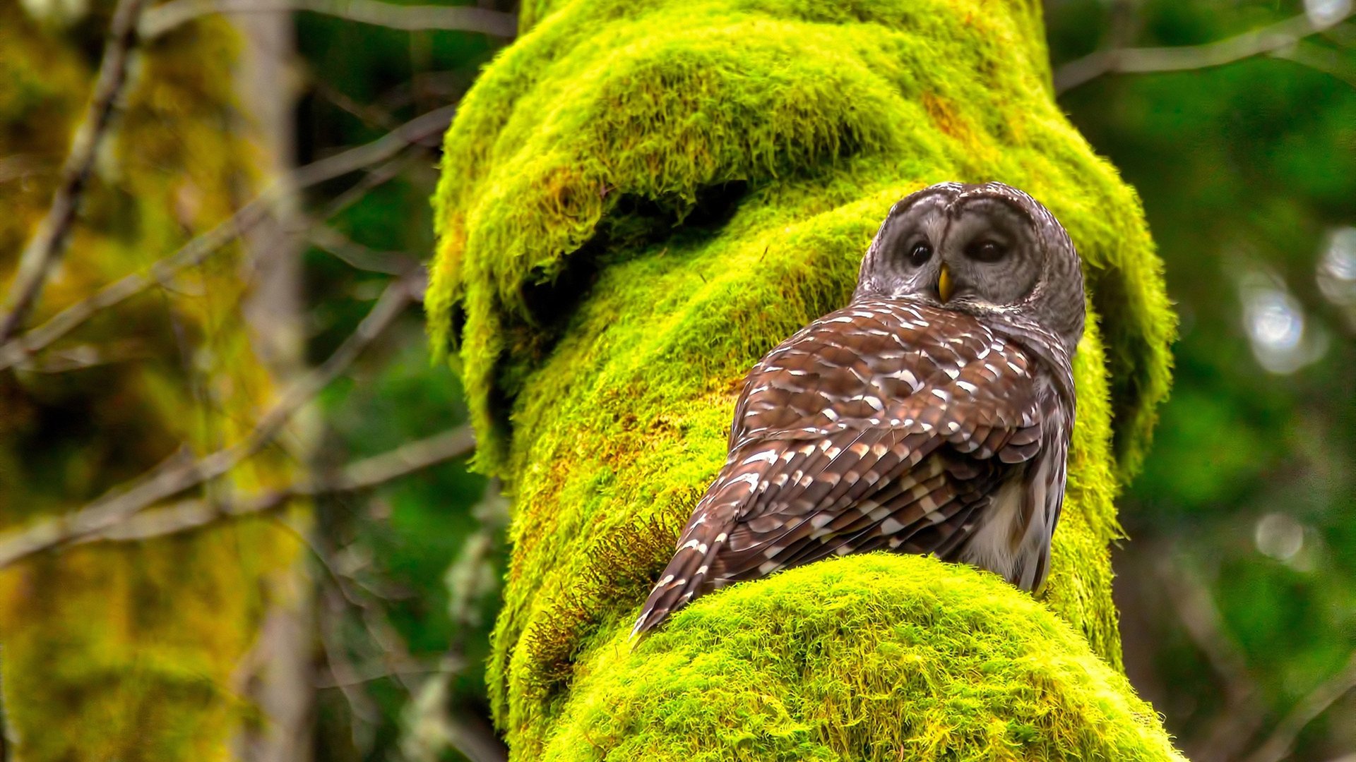 中乙俱乐部推进球场改造工程提升比赛场地质量，中乙俱乐部靠什么赚钱