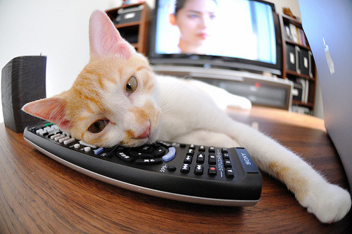 乌拉圭女篮在南美锦标赛中夺冠，创造历史新篇章，乌拉圭女子篮球联赛