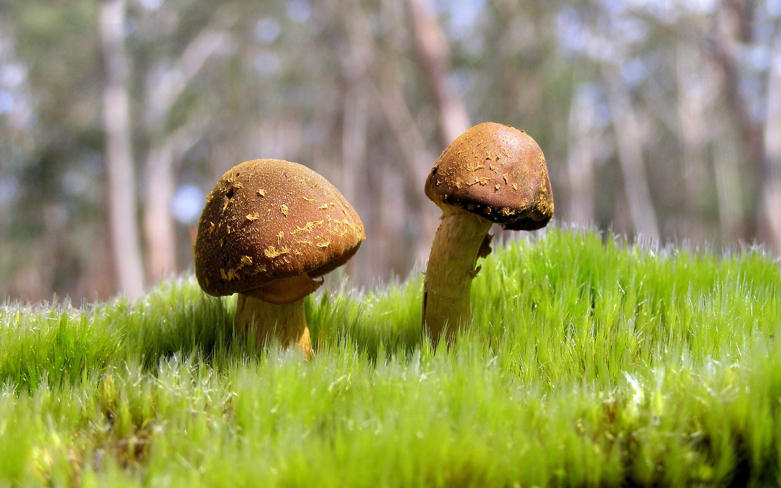 国家队核心球员个人能力提升计划取得显著成果，球队的核心人员