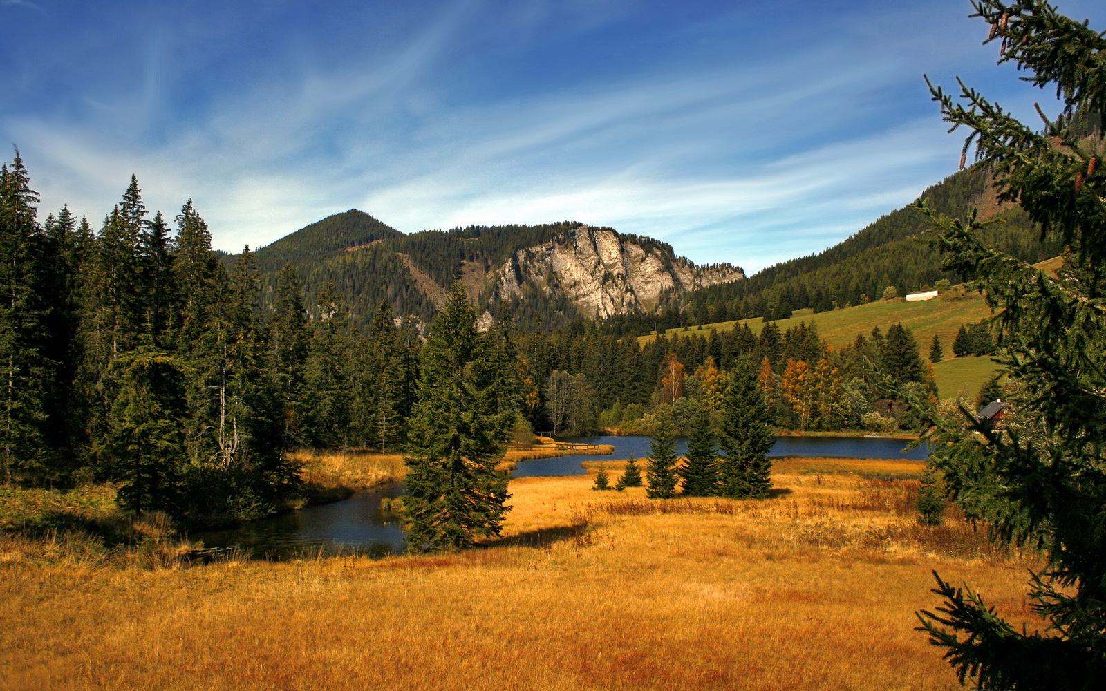 张伟丽为训练馆搬迁剪彩表达感谢，张伟丽教练团队介绍