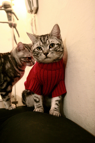 德甲劲爆对决：攻守激烈，精彩不断！，德甲经典比赛