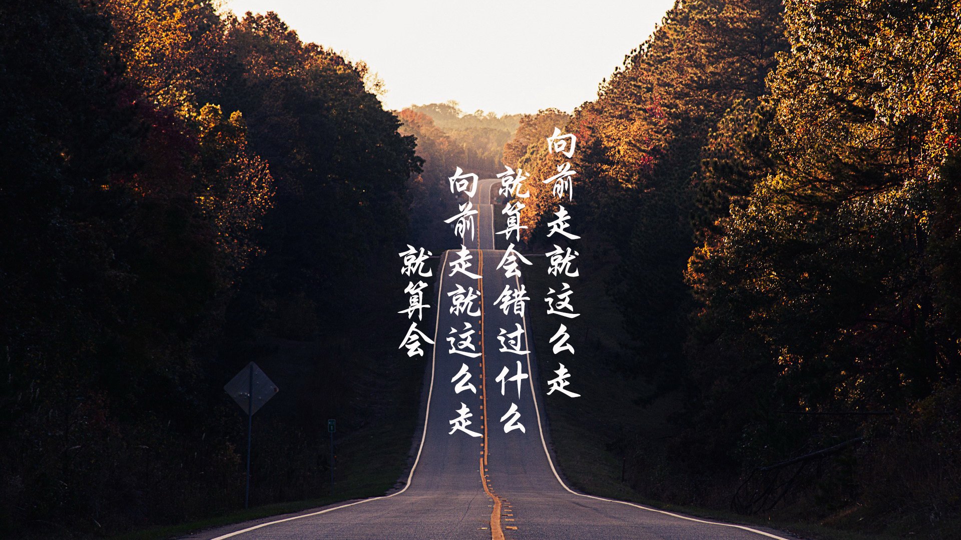 戴维·帕特森精准的球场预判和战术部署，为袋鼠队扫除障碍，戴维 帕尔马特